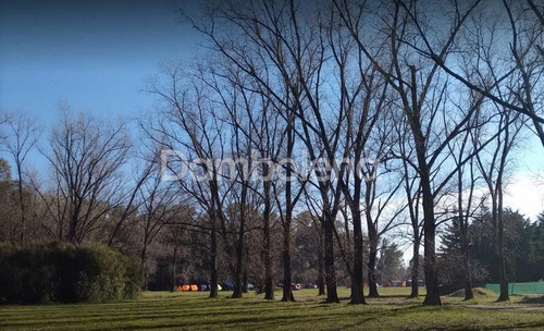 Imagen 5 de 17 de Terreno En Venta O Permuta Ubicado En Pilar, Pilar Y Alrededores