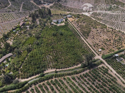Imagen 26 de 28 de Se Vende Parcela Con Paltos En Producción En Melipilla