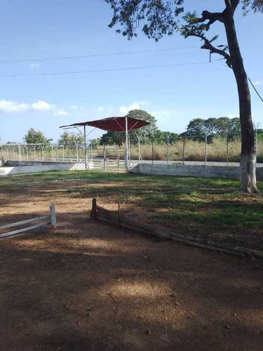Imagen 3 de 30 de Finca Privada De 100 Hectáreas A 12 Minutos De San Carlos