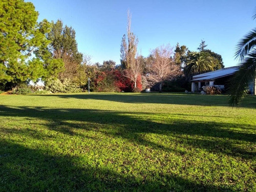 Permuto Chacra, 6 Has Parquizadasx Casa O Dpto En Pinamar , Antiguamente Siendo Un Haras, Se Fue Transformando En Casa Principal , Km 305 De La Ruta Nacional N*5 Carlos Casares-ba