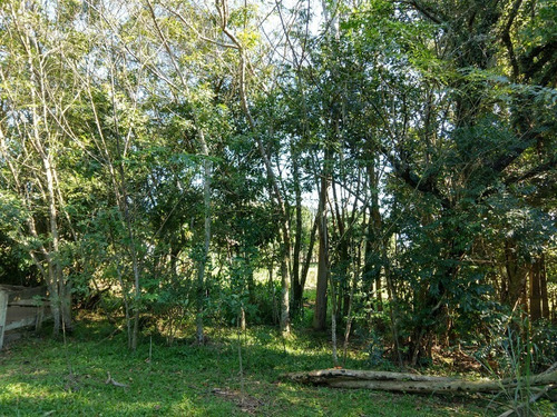 Chácara 20.000 M² - Vila Nova - Glorinha - Rs - 1802 - 32515745