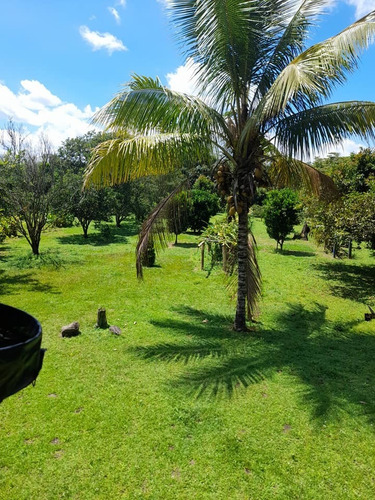Imagen 6 de 16 de Venta Finca Hotel - Sector Batallon Cisneros