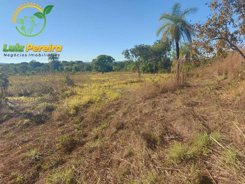 Imagem 3 de 13 de Fazenda À Venda No Vale Do Araguaia - 711,48 Hectares (dupla Aptidão) - 1947