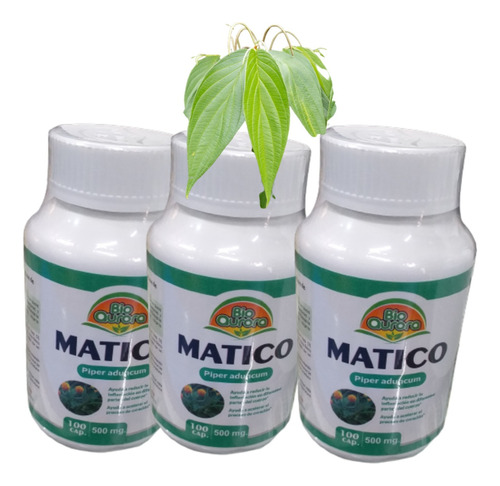 Matico 100 Cápsulas X 500 Mg Pack De 3 Frascos 300 Cápsulas