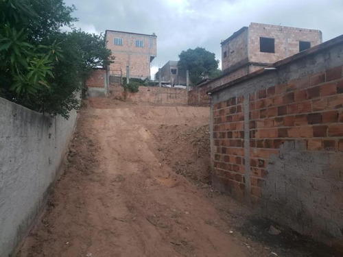 Lote Para Venda Em Ribeirão Das Neves, São Luiz - L42_1-1342834
