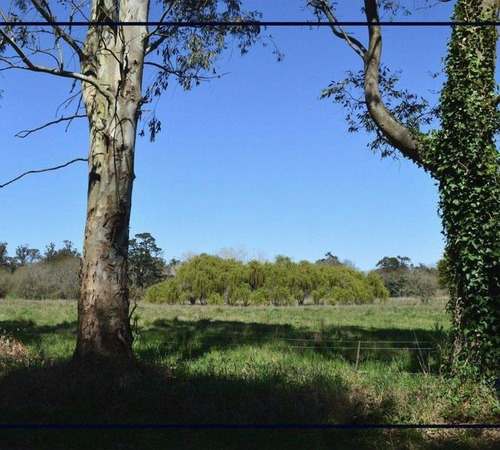 Imagen 4 de 5 de Venta Lote