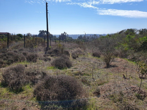Parcela N° 119 De 7.768 M2 Ubicada En Condominio Campomar 1,
