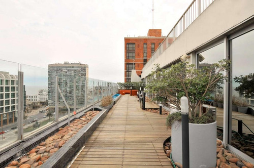 Venta Alquiler Planta De Oficinas Plaza Independencia Ciudad Vieja
