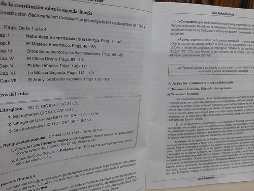 Curso Básico De Liturgía - Sa (Usado)