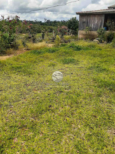 Imagem 10 de 10 de Venda Sítio Buritis Em Rondônia - Si337