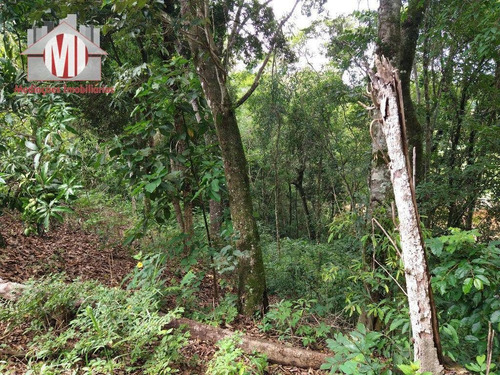 Imagem 16 de 23 de Ótima Chácara Com 3 Dormitórios, Córrego, Pomar, Excelente Localização, À Venda, 3000 M² Por R$ 215.000 - Zona Rural - Pinhalzinho/sp - Ch0848
