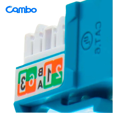 Conector Cambo Rj45 Jack Hembra Cat6 90° Tipo 110 Azul
