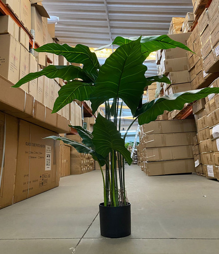 Planta Taro Artificial Orelha Elefante Decoração Sala 120cm Cor Verde