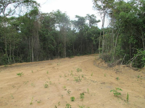 Imagem 10 de 15 de Terreno Para Venda Em Esmeraldas, Floresta Encantada - T23_1-1019445