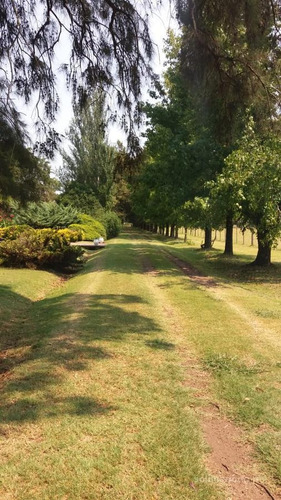 Excelente Campo De 35 Hectáreas En Mercedes