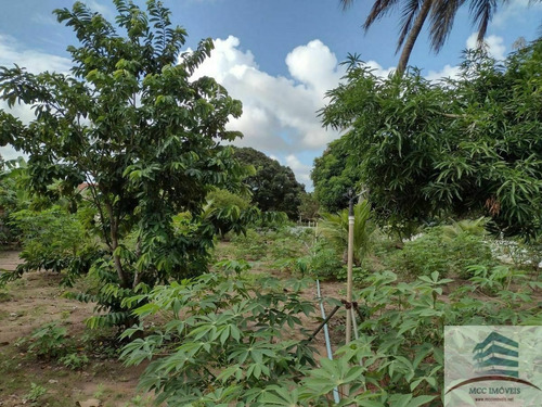 Granja A Venda Nísia Floresta