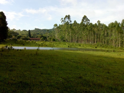 Imagem 2 de 19 de Sítio À Venda Em Juquitiba, Excelente Oportunidade! - 355 - 33553342
