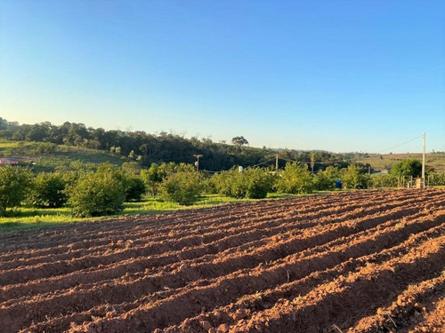 Sitio A Venda Macuco, Valinhos, Leao Imoveis - Si0008