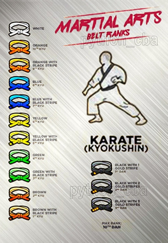 Pósters Karate Krav Maga Savate - 42x30cm