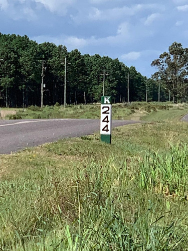 Venta Terreno Pueblo Nuevo Rocha Proximo Cabo Polonio Valizas Ruta 10 Km 244
