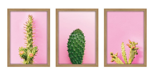 Quadros Decorativos Cacto Cactus Botânico Grande Sala Quarto | Parcelamento  sem juros