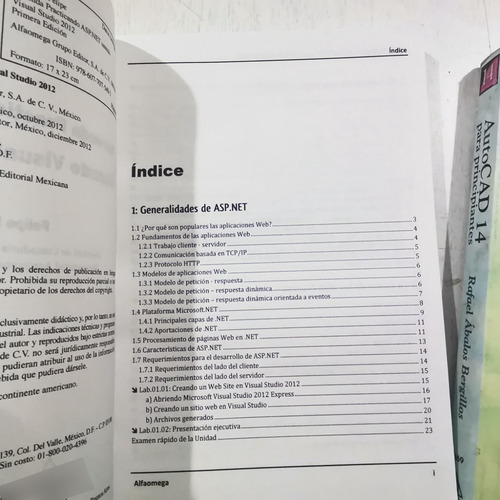 Autocad 14 Y Asp.net Dos Libros Antiguos De Programacion (Usado)