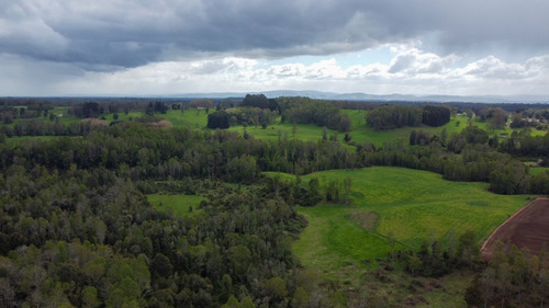 Campo En La Unión Cercano Al Lago Ranco 27,4 Hectáreas