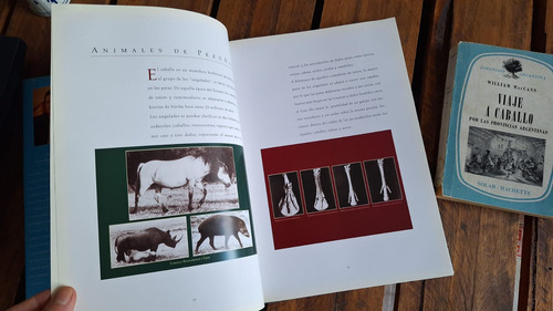 El Caballo.g. Zaldivar, Viaje A Caballo. Maccann 1° Ed (30) (Usado)