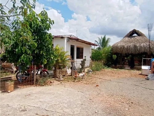 Casa Finca En Venta En Los Cedros