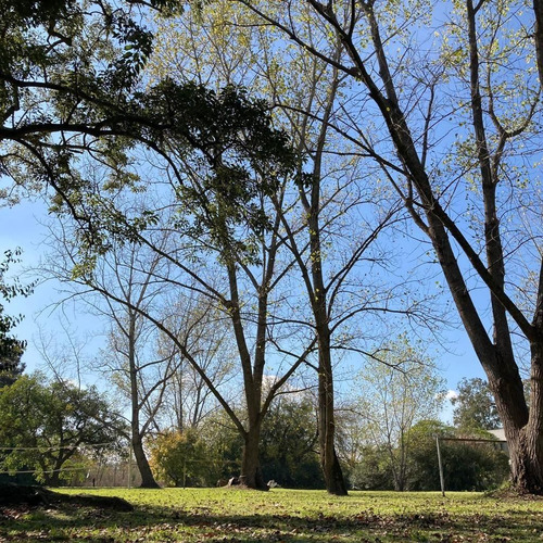 Imagen 15 de 15 de Lote En Arana En Venta De 2560 Mtrs .calle 636 Y 16 Con Hermosa Forestación