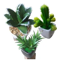Comprar Cactus Y Suculentas Artificiales En Macetitas 3 Plantas