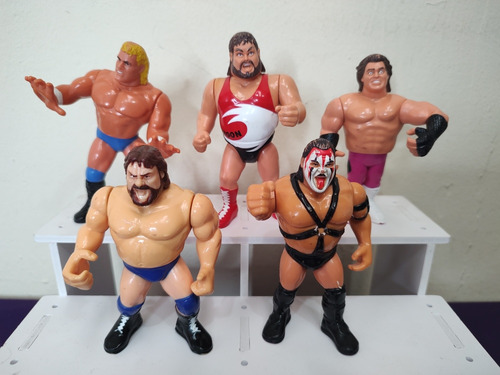 Figuras Wwe Wwf Titan Sports Hasbro 1990 Set 5 Luchadores 