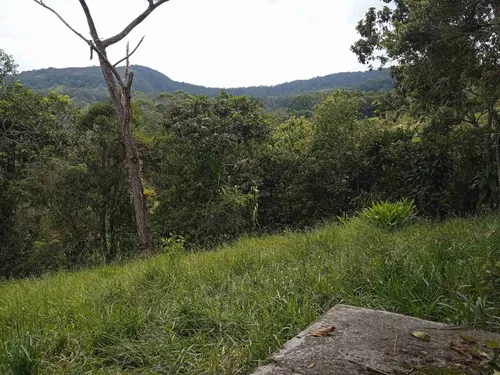Finca En Guacamayas, Santander, Al Día En Documentos.