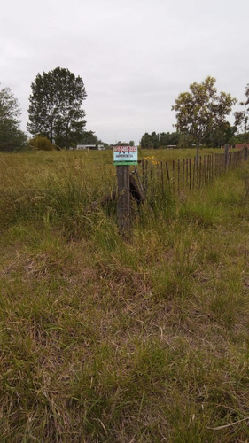 Imagen 4 de 10 de Terreno En Venta En Domselaar