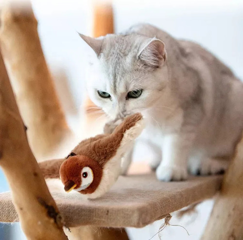 Cho Juguetes Para Gatos, Pájaro Volador Interactivo