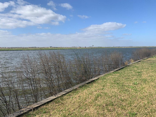 Lote Al Agua En Amarras Puertos Del Lago, Escobar.