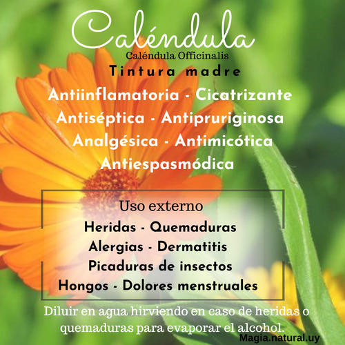Tintura Madre De Caléndula.30 Ml.magia Natural. Homeopatía