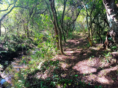 Chacra En Las Sierras Ruta 12 Próximo Pueblo Eden, Maldonado