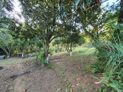 Terreno 9600m2 À Venda Em São Sebastião Do Caí, Rs.