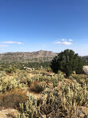 En Venta: Terreno Rustico En Valle De Guadalupe, En Ensenada, B.c.