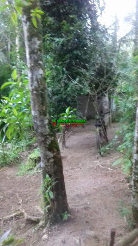 Imagem 5 de 15 de Casa Com 02 Dormitórios, 01 Suíte Sobre Lindo Lago Natural Em Caraguatatuba - 1870