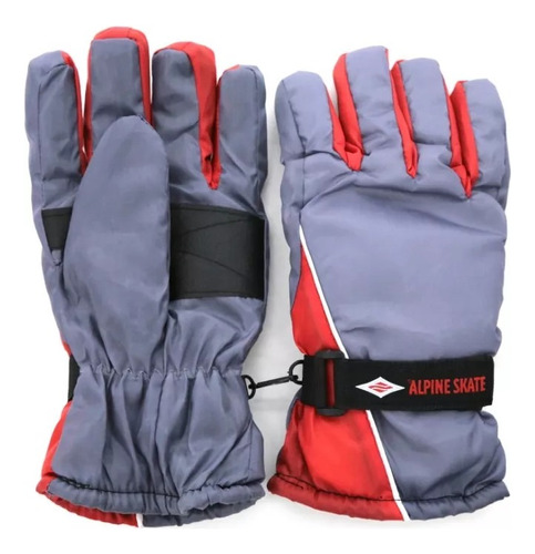 Guantes Alpine Skate Impermeable Abrigo Protección Moto 