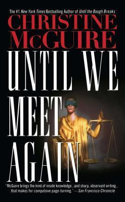 Libro Until We Meet Again - Christine Mcguire