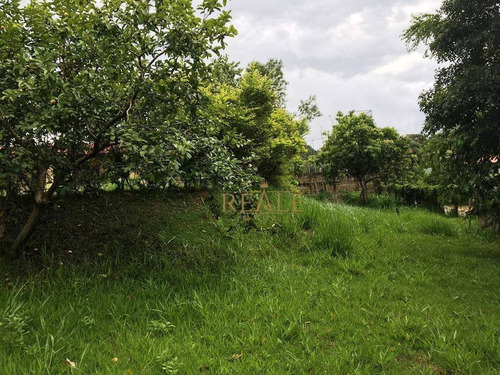 Imagem 7 de 9 de Chácara Residencial À Venda, Estância Das Flores, Vinhedo. - Ch0022