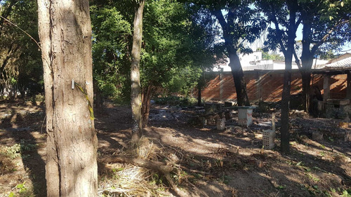 Imagem 5 de 11 de Terreno