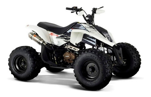 Cuatriciclo Zanella Fx 250 Mad Max King