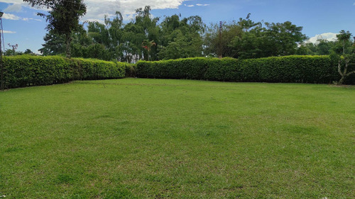Imagen 24 de 24 de Finca De Alquiler Por Días Altagracia #4 Pereira