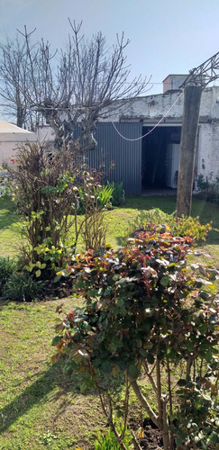 Imagen 29 de 30 de Local Comercial / Casa / Departamento / Salon / Jardin
