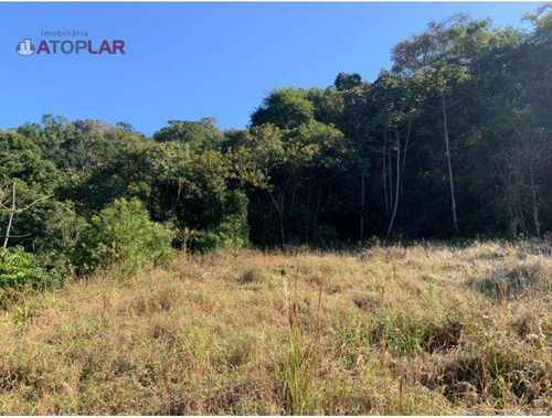 Imagem 4 de 17 de Terreno Em Área Rural À Venda, 25000 M² Por R$ 600.000 - Braço De Camboriú - Camboriú/sc - Te0126