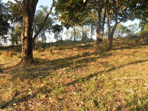 (k.a) Topografia Plana Em Aruja Em Até 48x